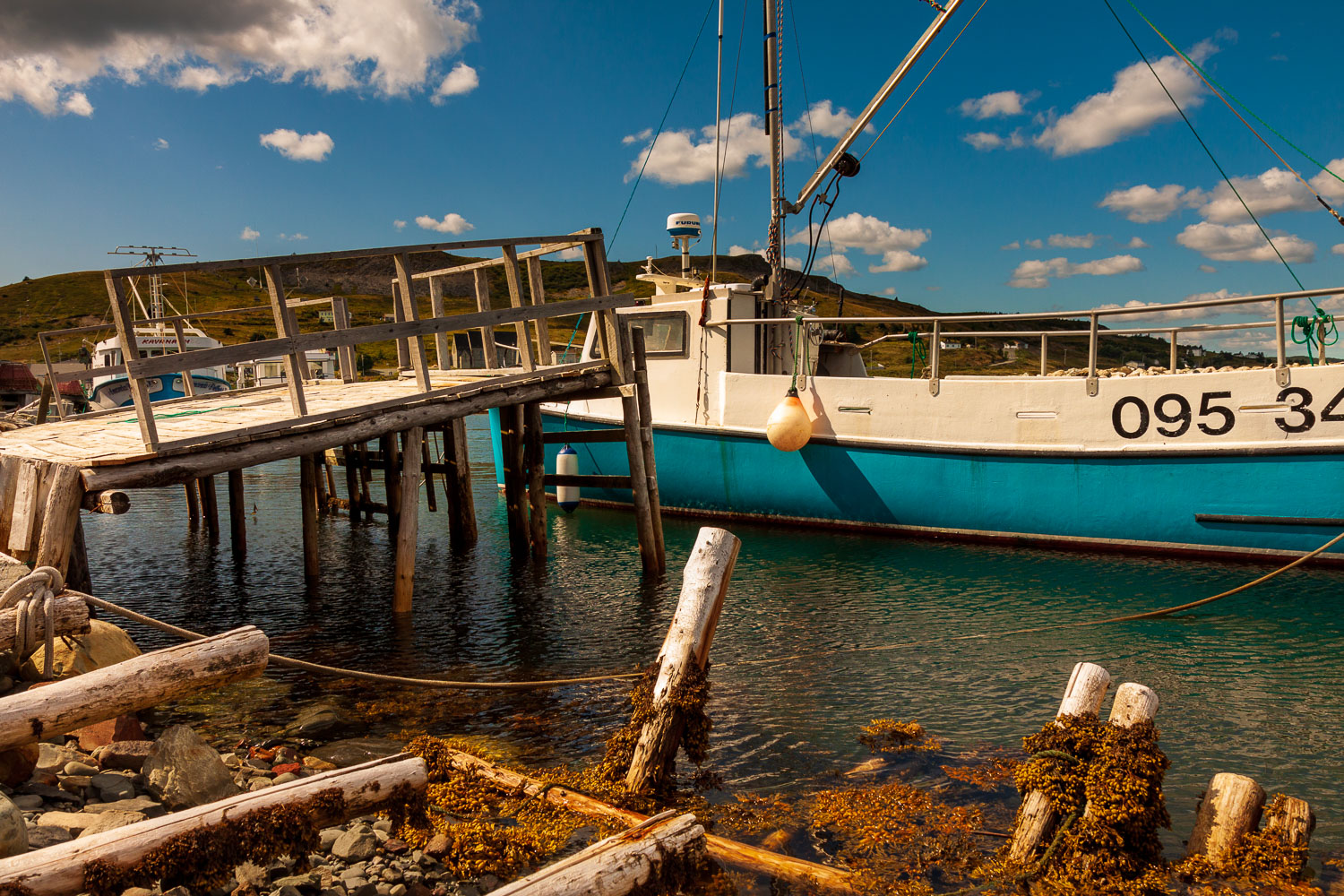 NFLD_03074__MG_1673.jpg