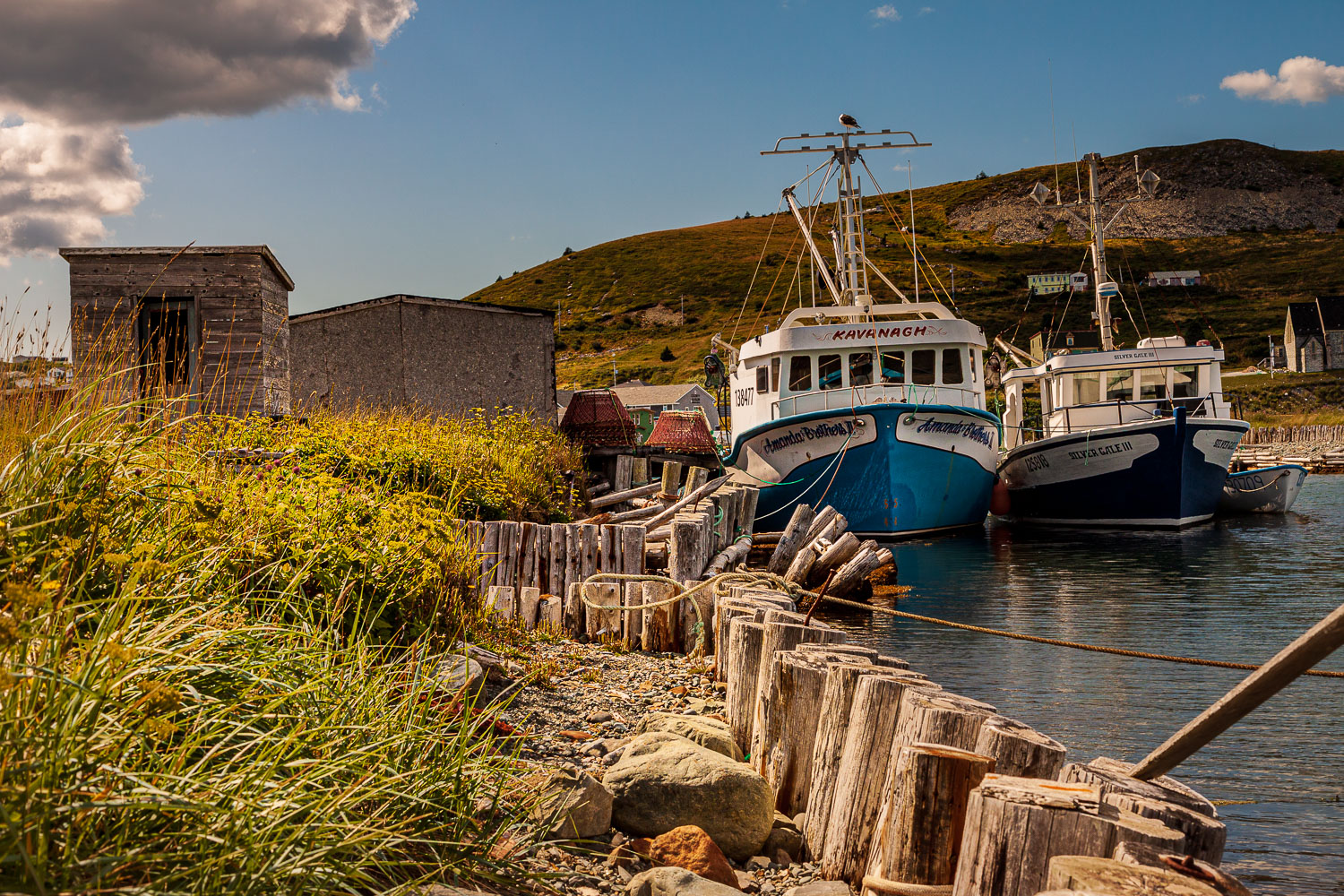 NFLD_03075__MG_1674.jpg