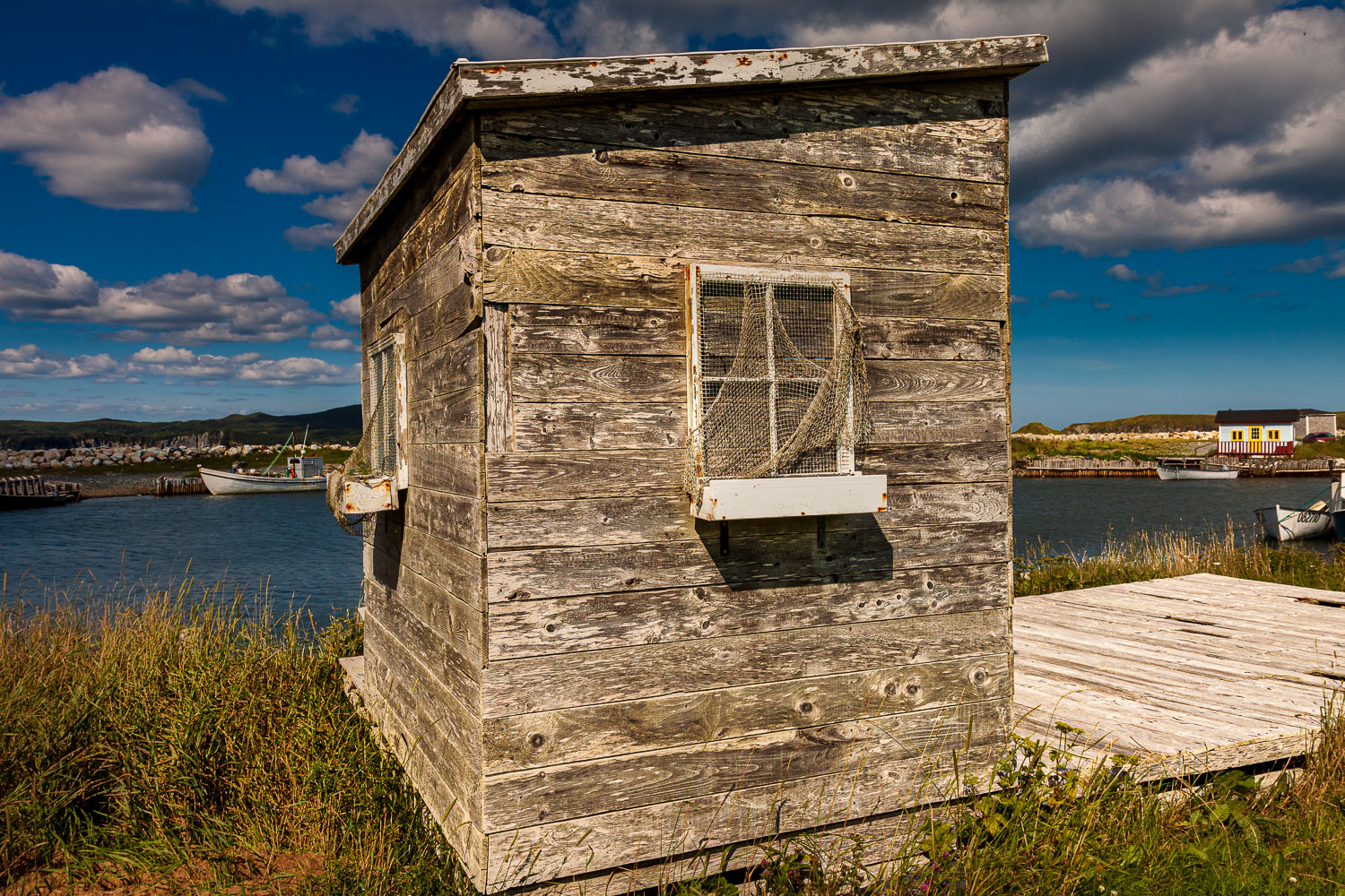 NFLD_03084__MG_1683.jpg