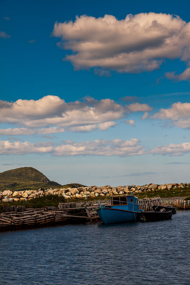 NFLD_03109__MG_1708.jpg