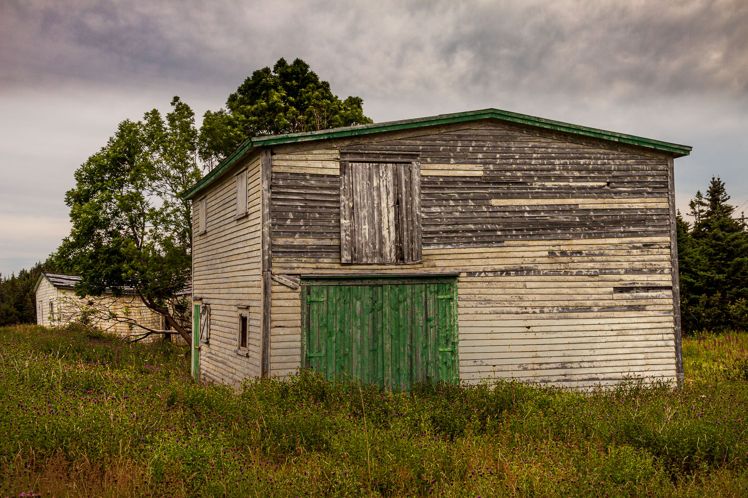 NFLD_03113__MG_1712.jpg