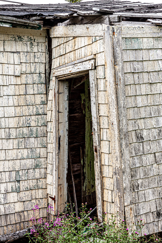 NFLD_03118__MG_1717.jpg