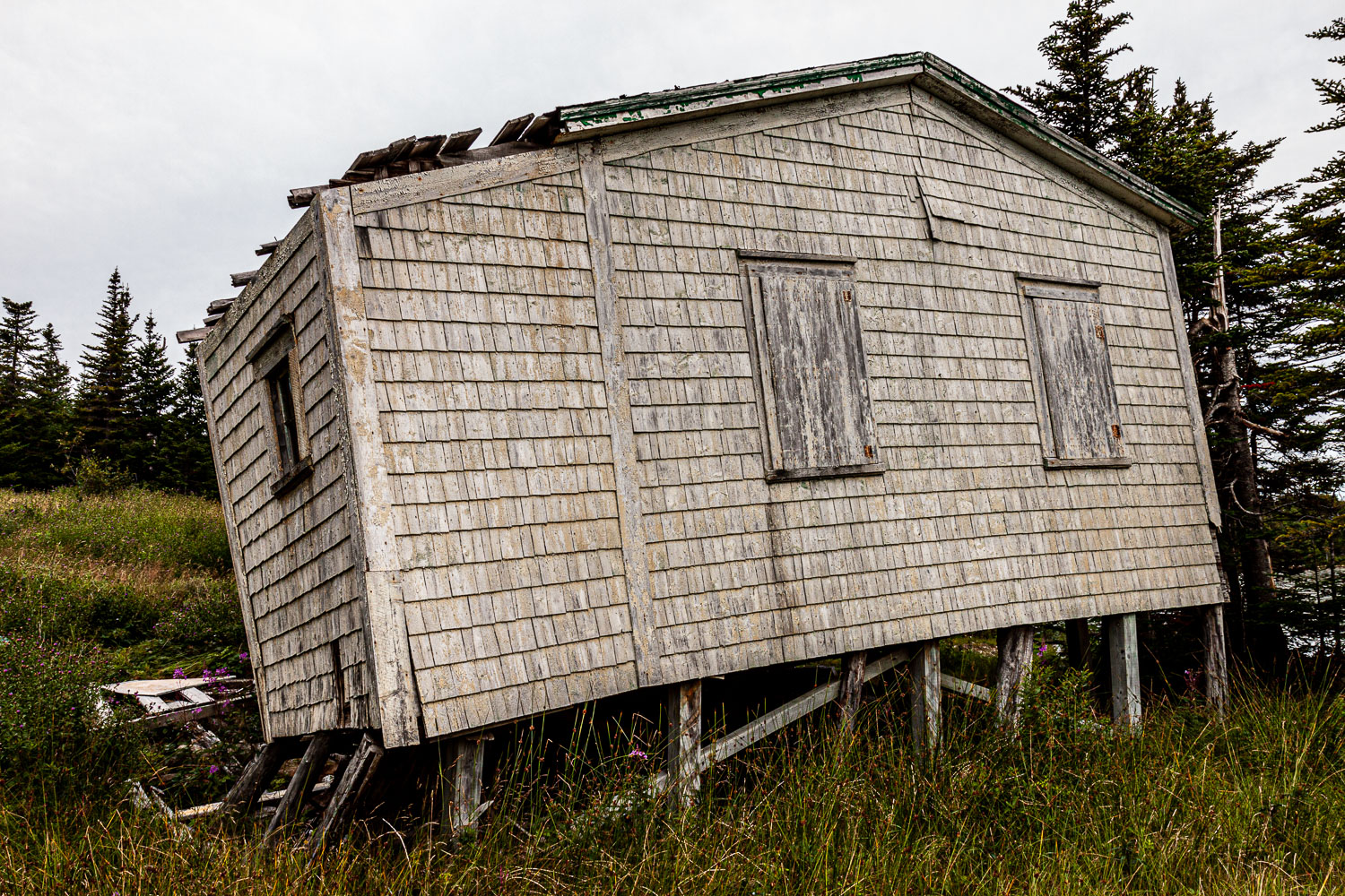 NFLD_03121__MG_1720.jpg