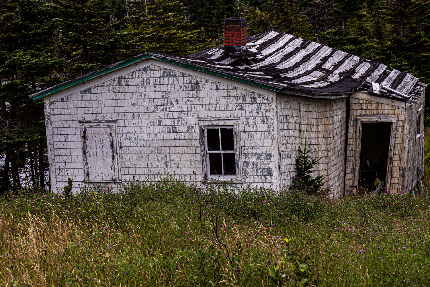 NFLD_03183__MG_1782.jpg