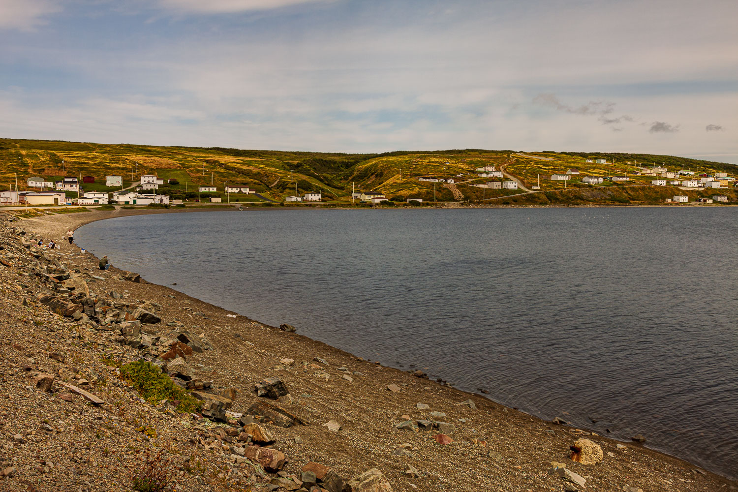 NFLD_03196__MG_1795.jpg