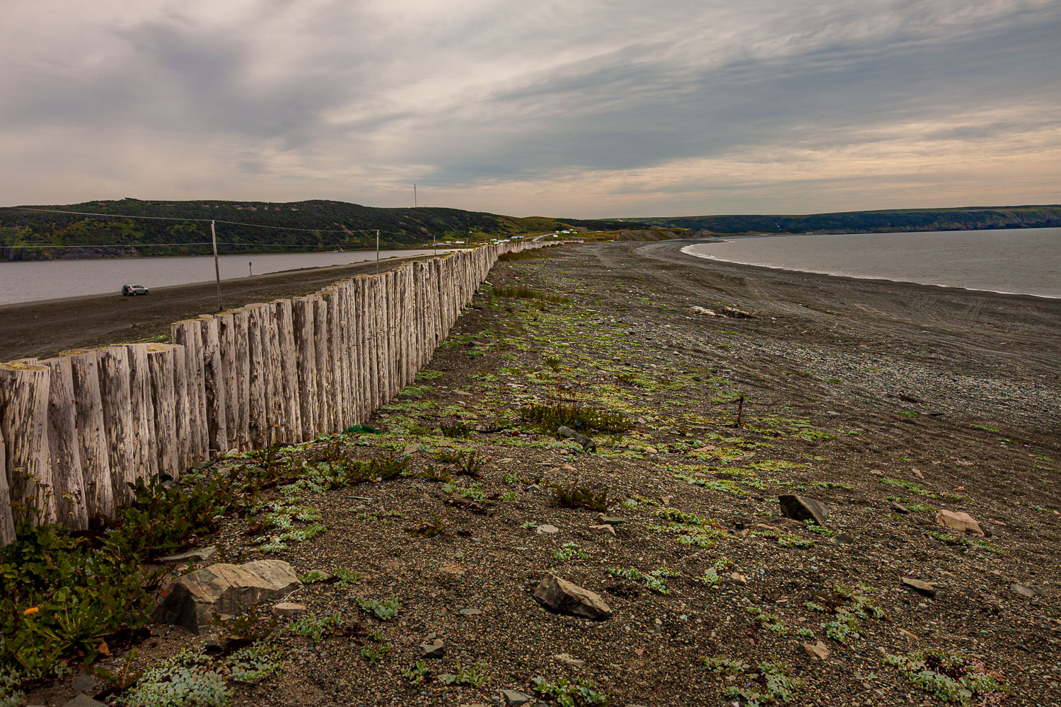 NFLD_03209__MG_1808.jpg