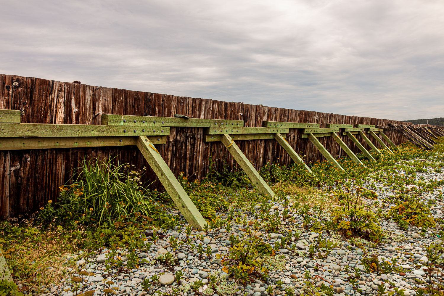 NFLD_03244__MG_1843.jpg