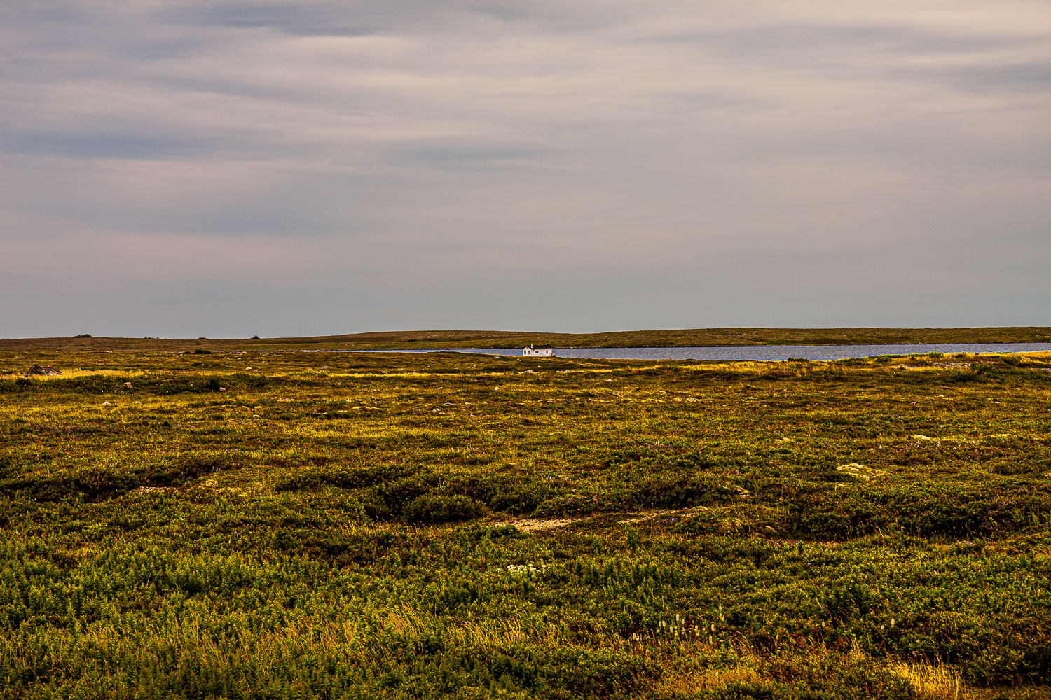 NFLD_03262__MG_1861.jpg