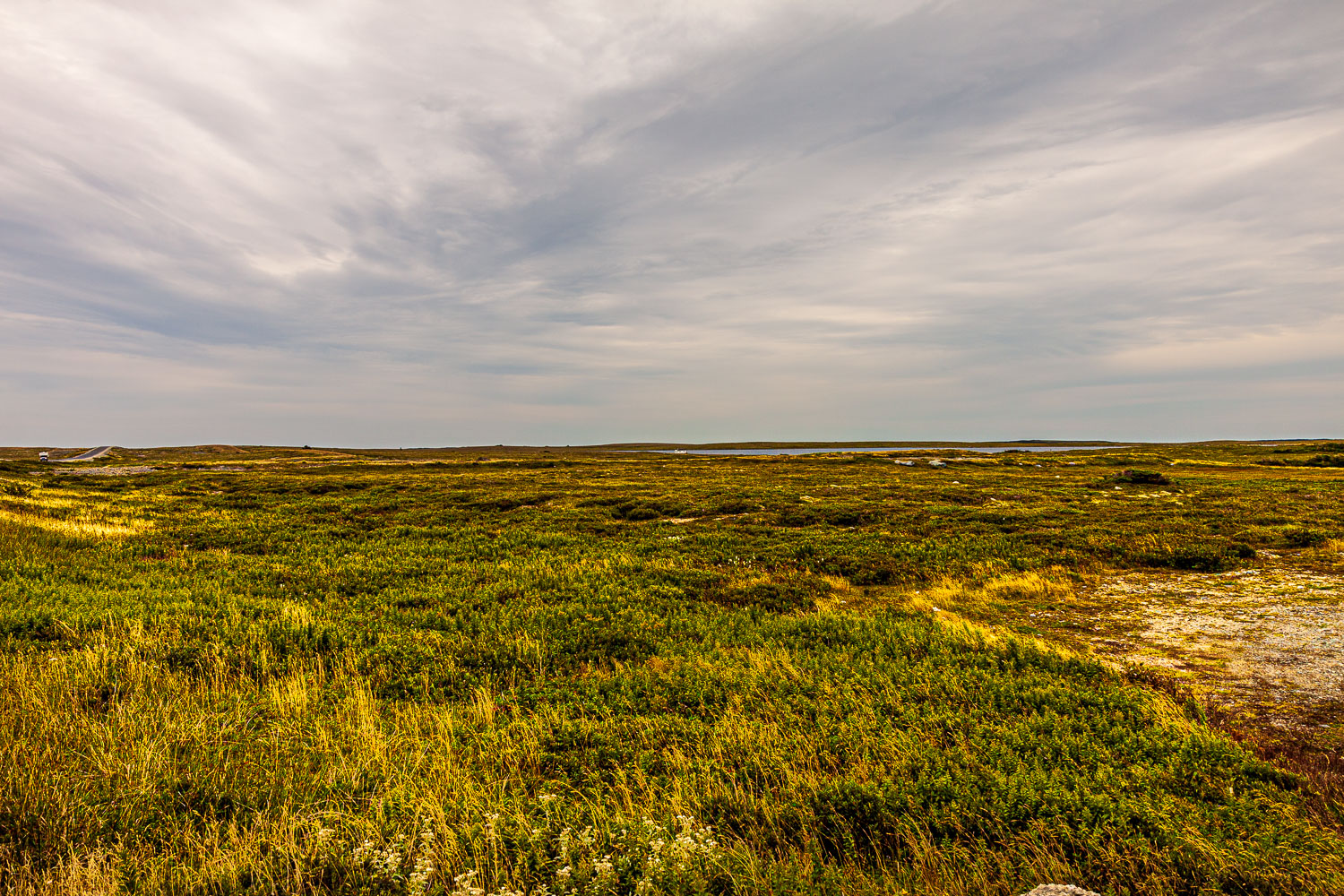 NFLD_03263__MG_1862.jpg