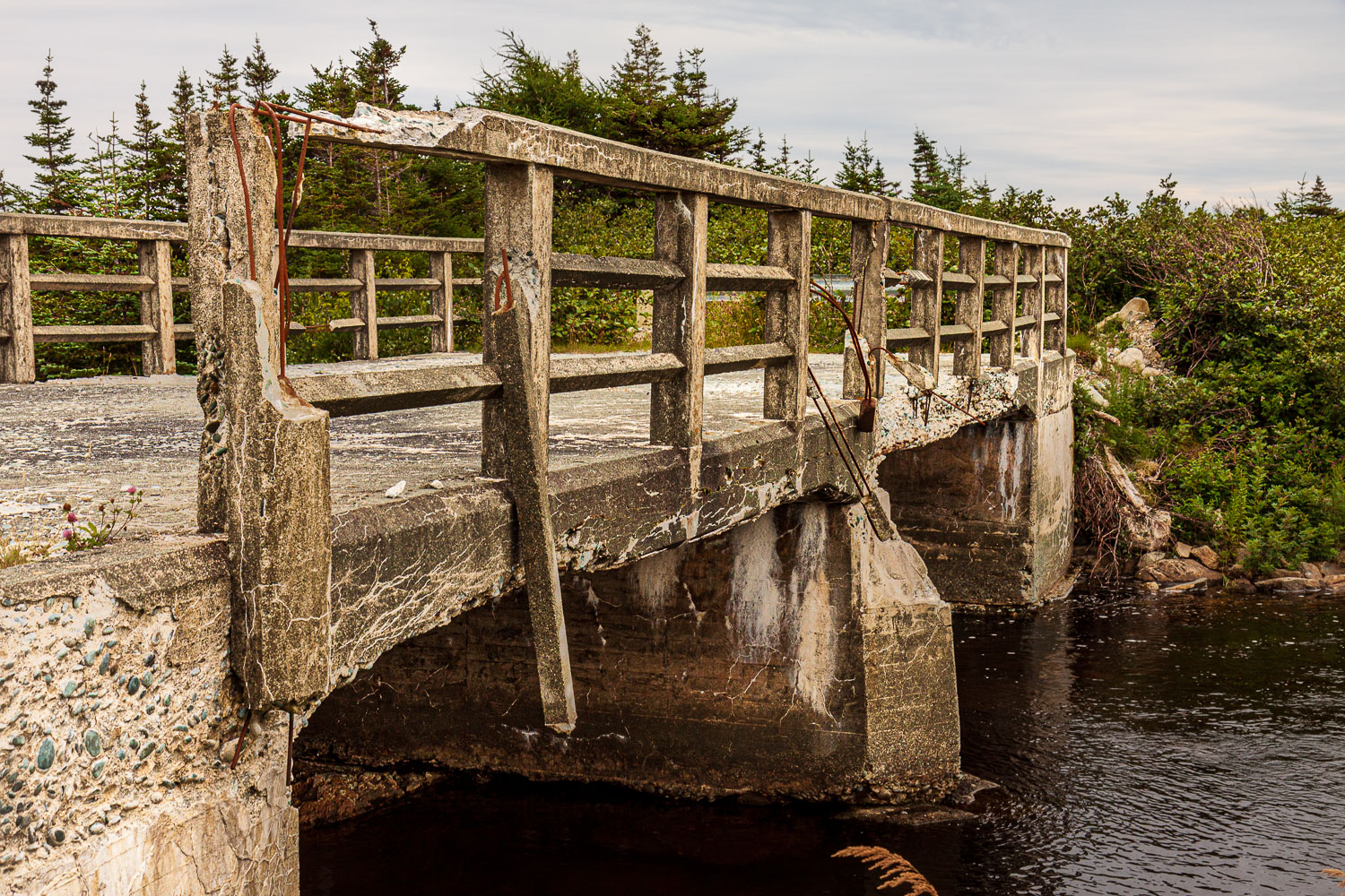 NFLD_03270__MG_1869.jpg