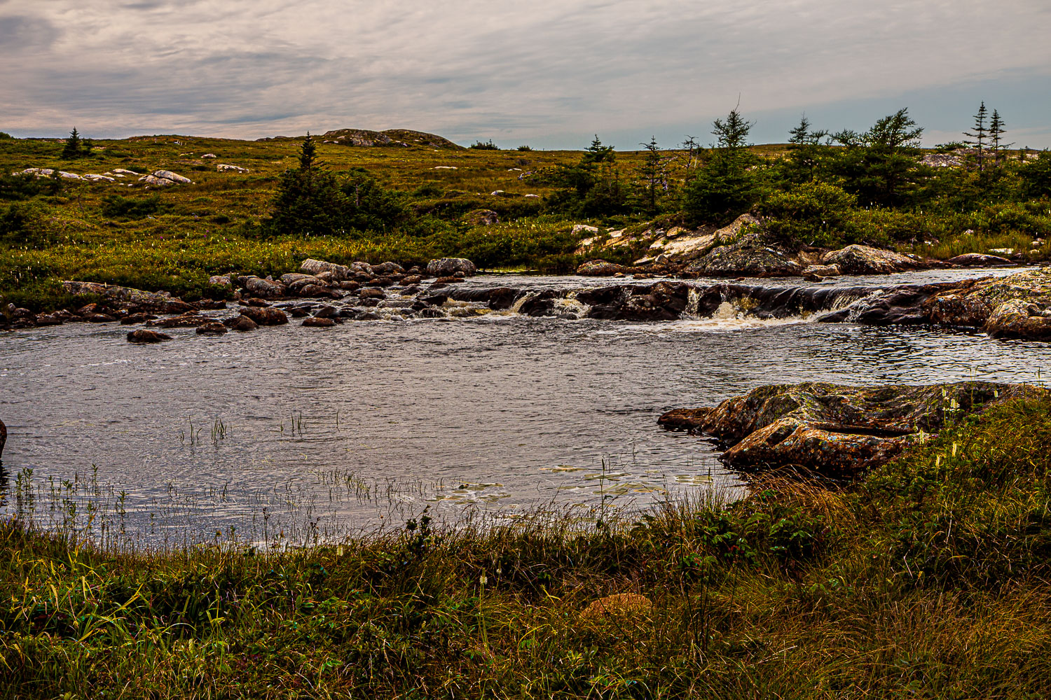 NFLD_03277__MG_1876.jpg