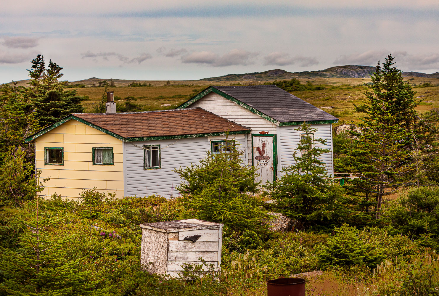 NFLD_03310__MG_1909-HDR.jpg