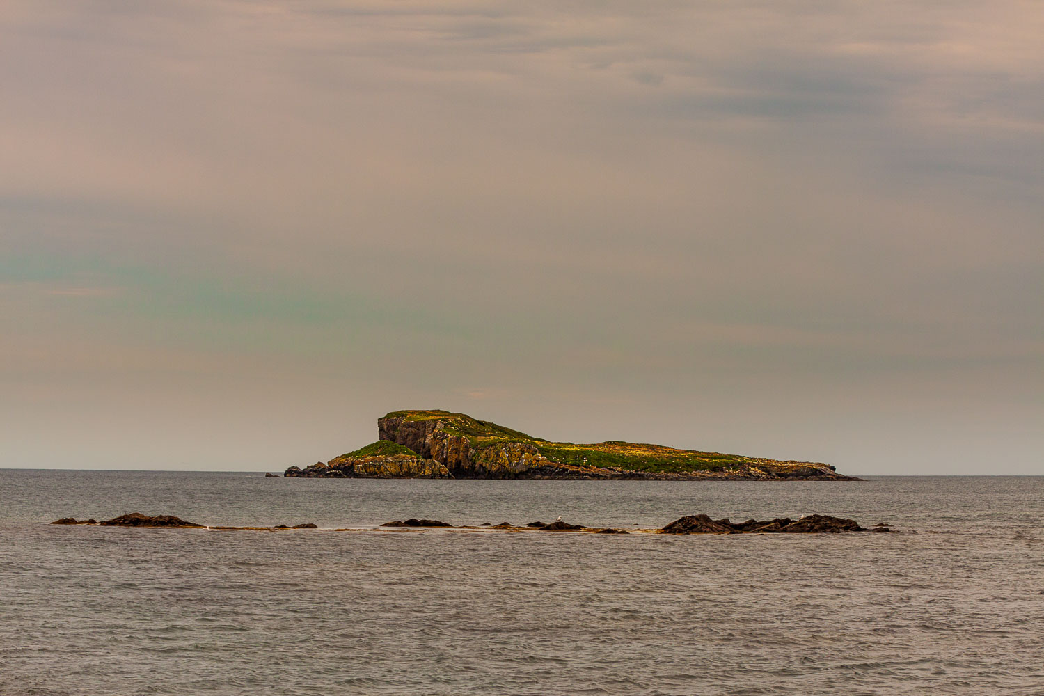 NFLD_03317__MG_1916.jpg