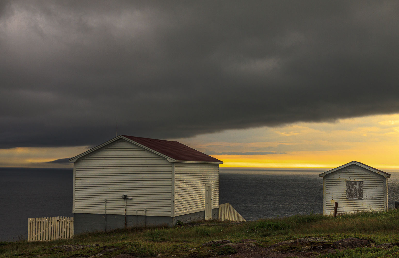 NFLD_2235__MG_0834.jpg