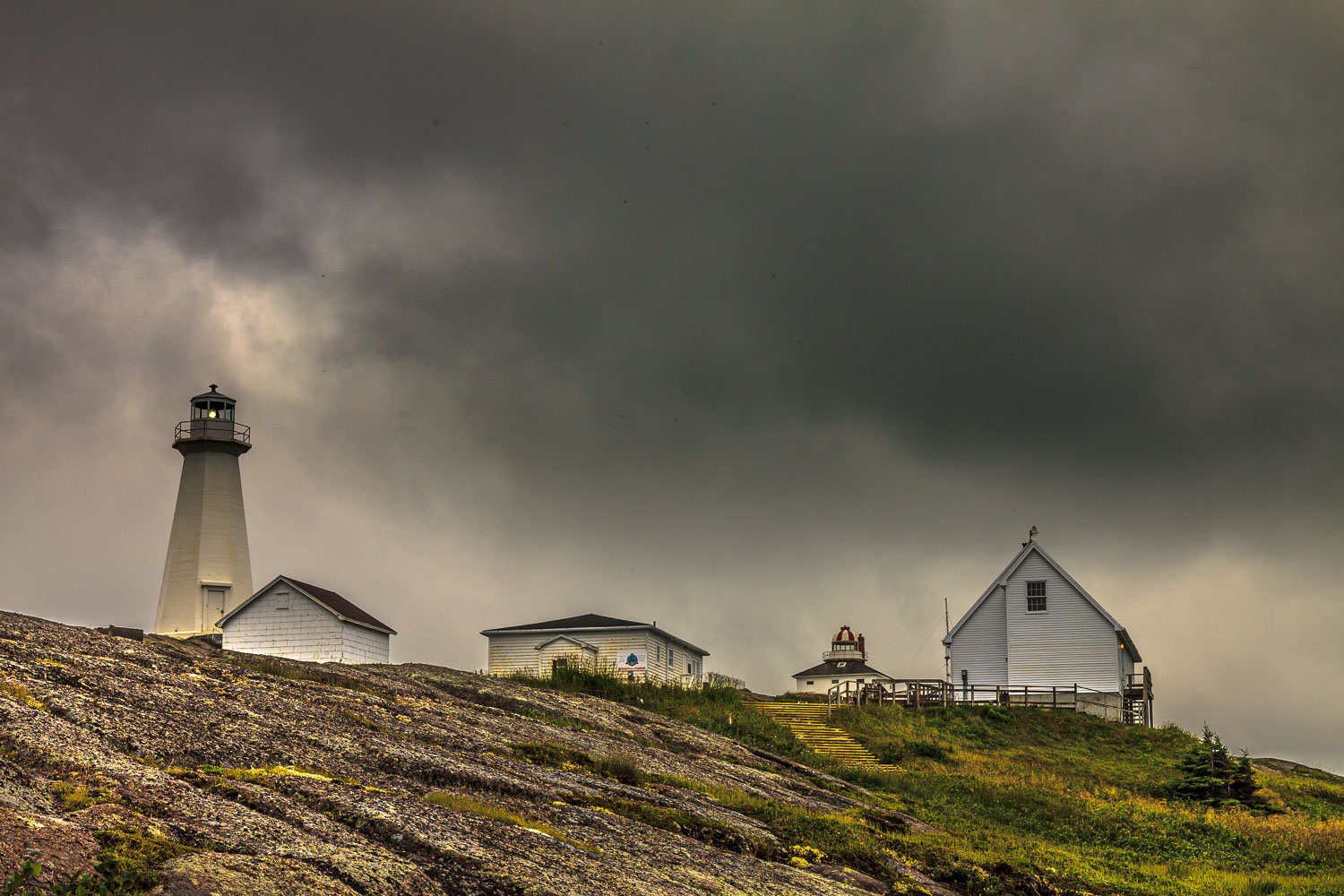 NFLD_2243__MG_0842.jpg