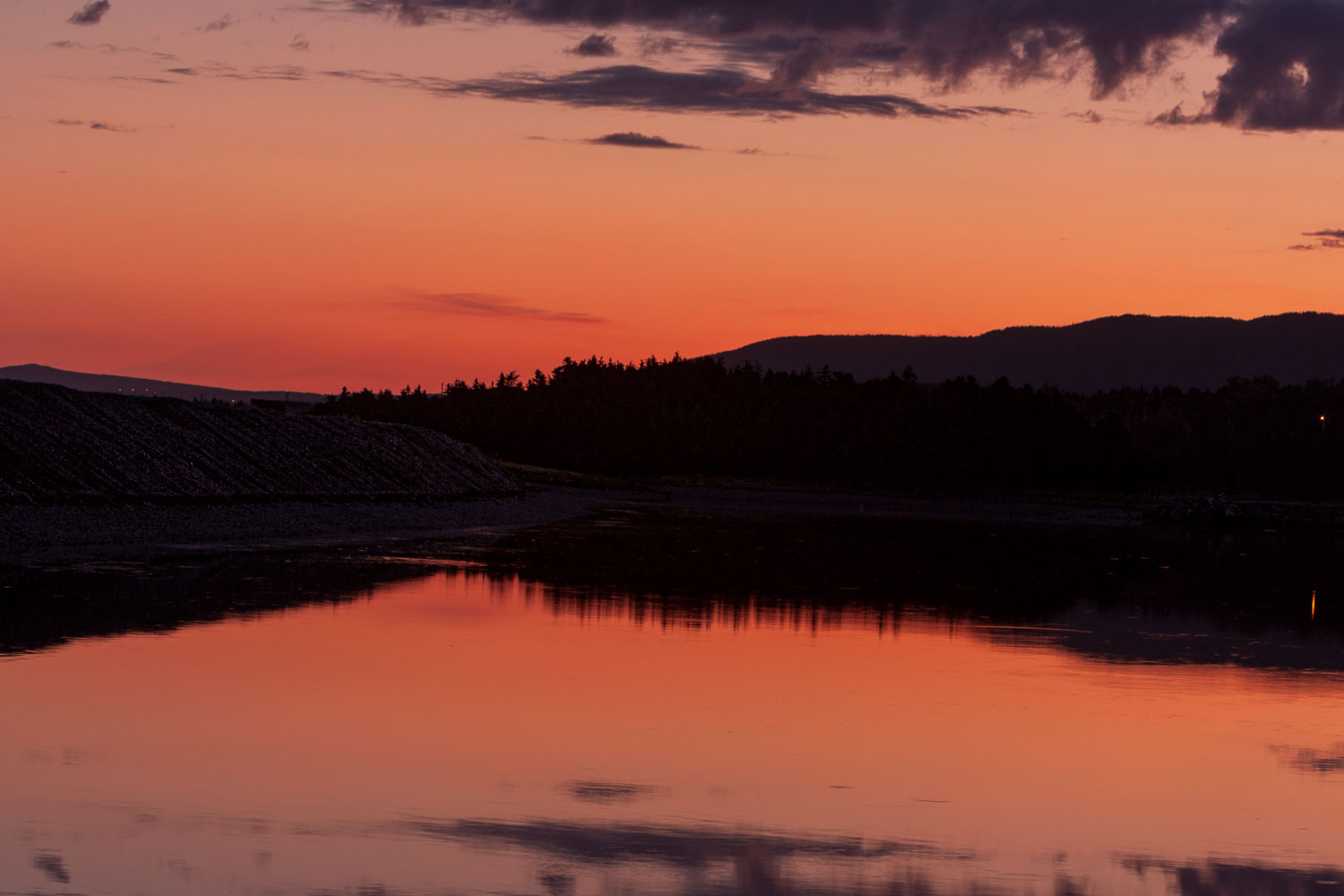 NFLD_2309__MG_0908.jpg