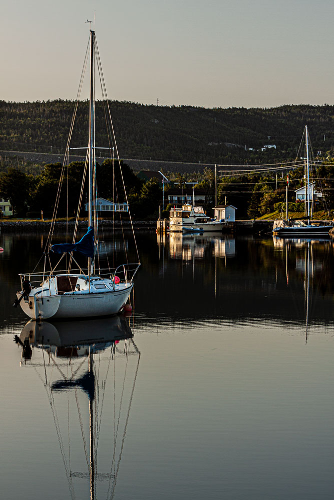 NFLD_2424__MG_1023.jpg