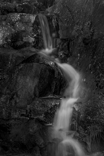 NFLD_02801__MG_1400.jpg