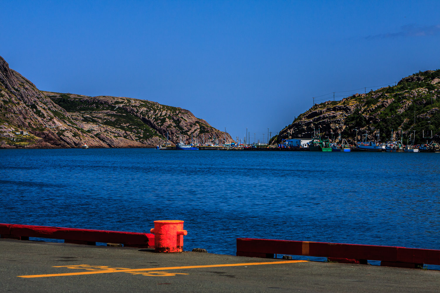 NFLD_02528__MG_1127.jpg