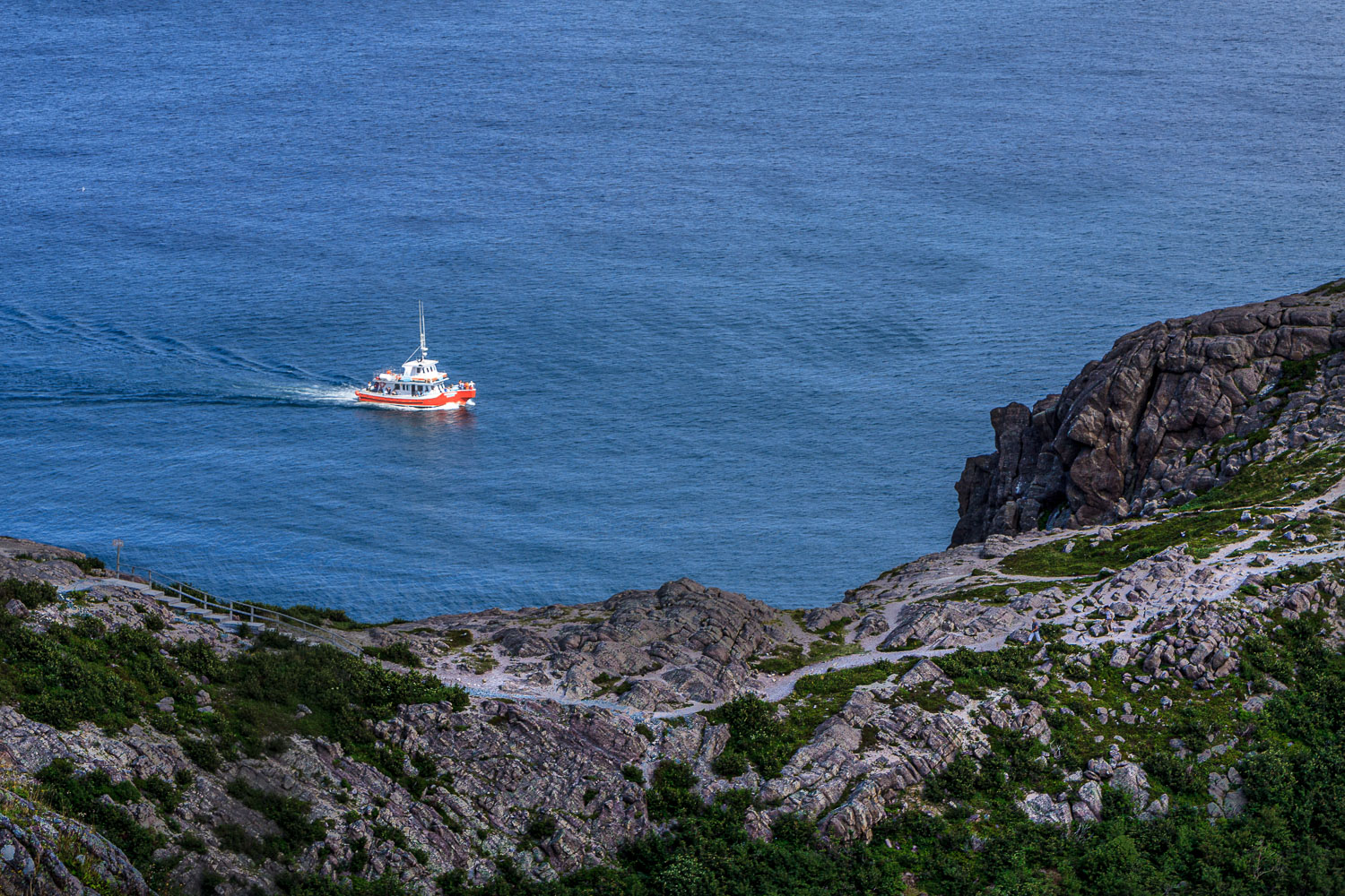 NFLD_02543__MG_1142.jpg