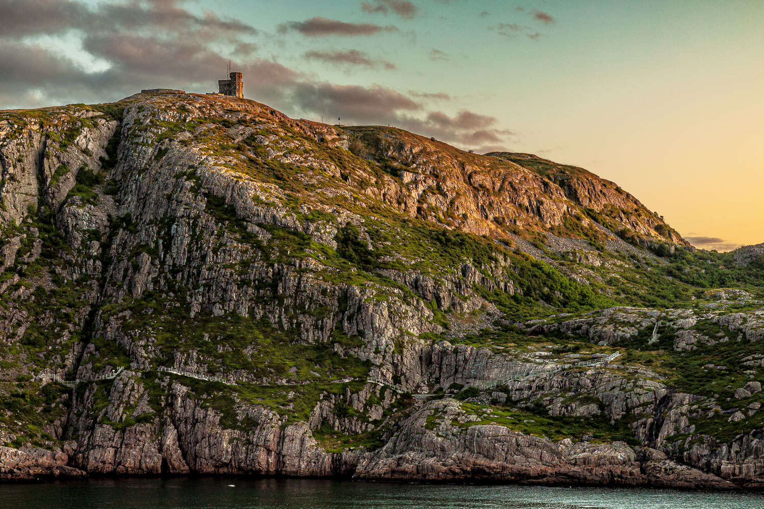 NFLD_02792__MG_1391.jpg