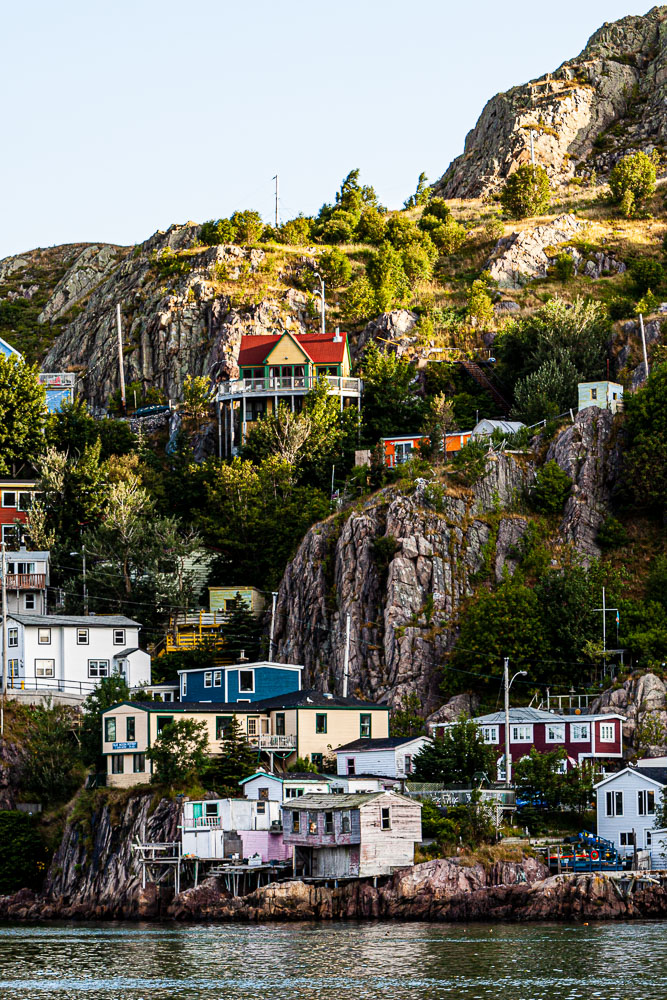 NFLD_02972__MG_1571.jpg