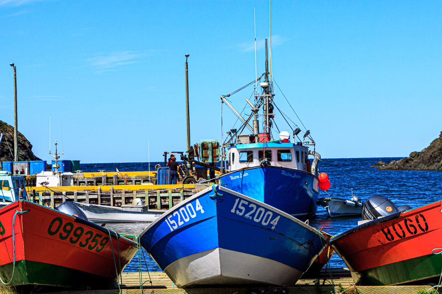 NFLD_04286__MG_3263.jpg