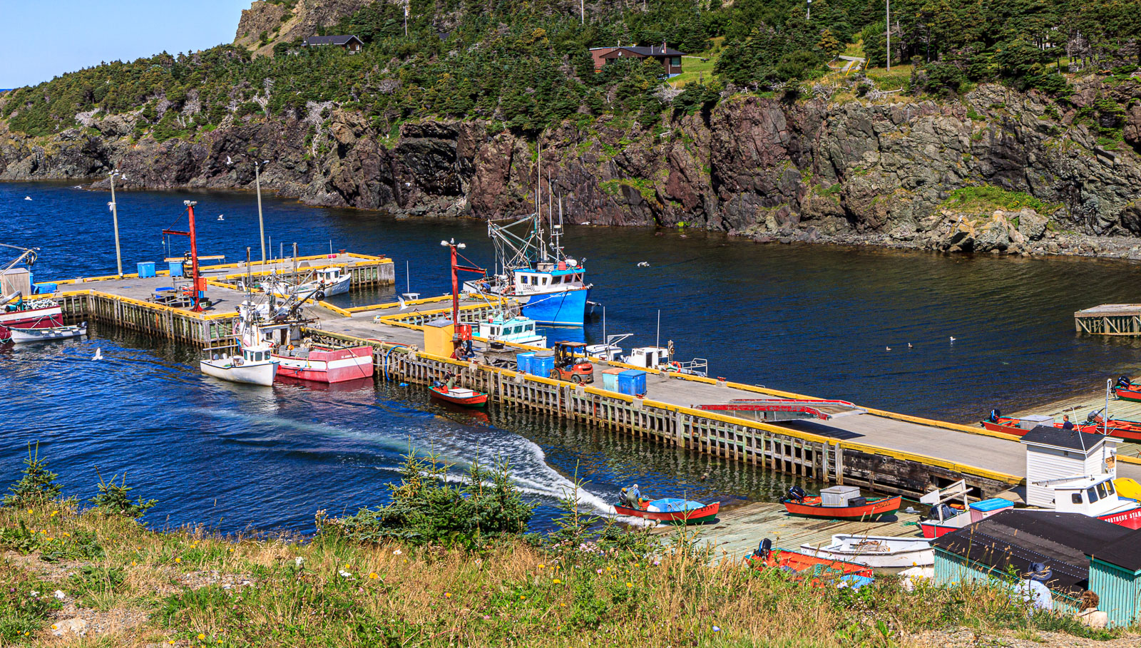 NFLD_04299__MG_3276.jpg