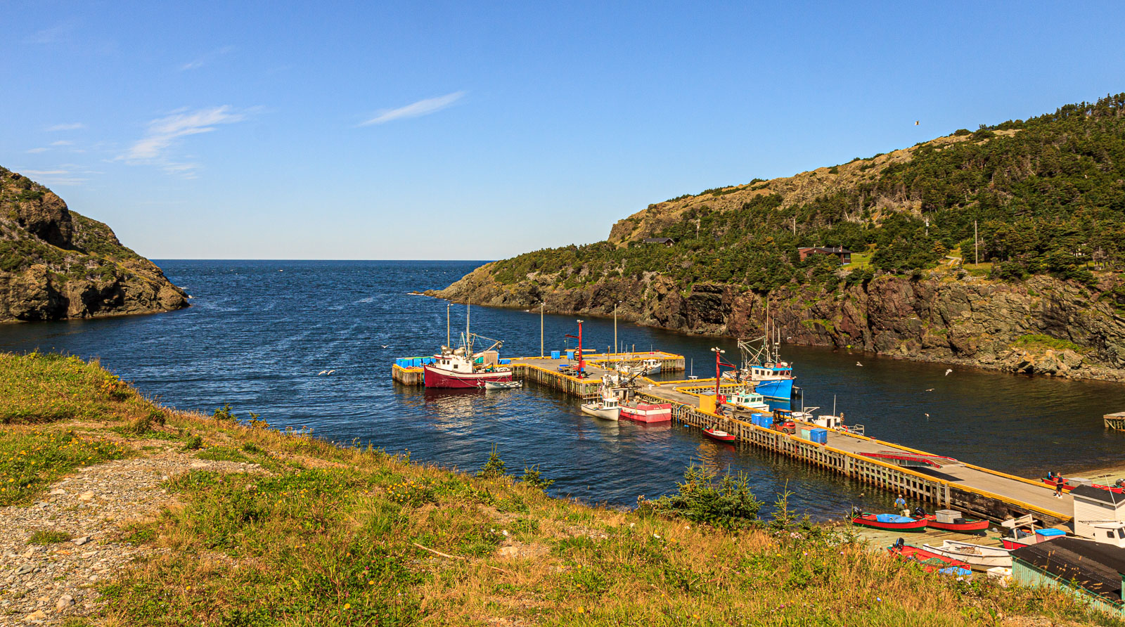 NFLD_04300__MG_3277.jpg