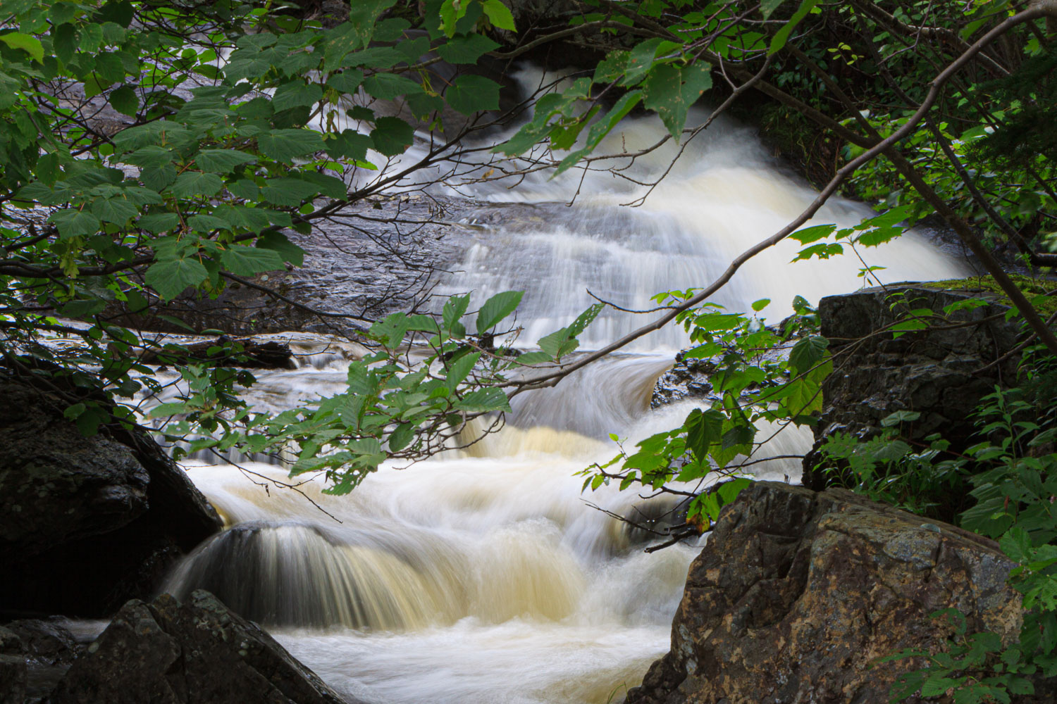 NFLD_04478__MG_3038.jpg