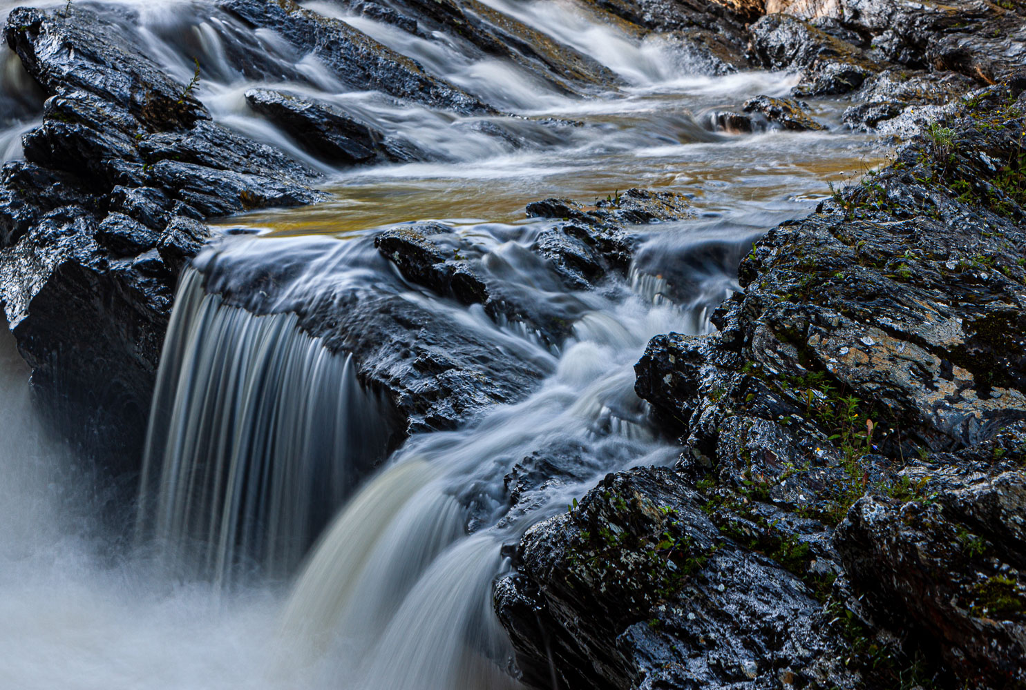 NFLD_04567__MG_3127.jpg