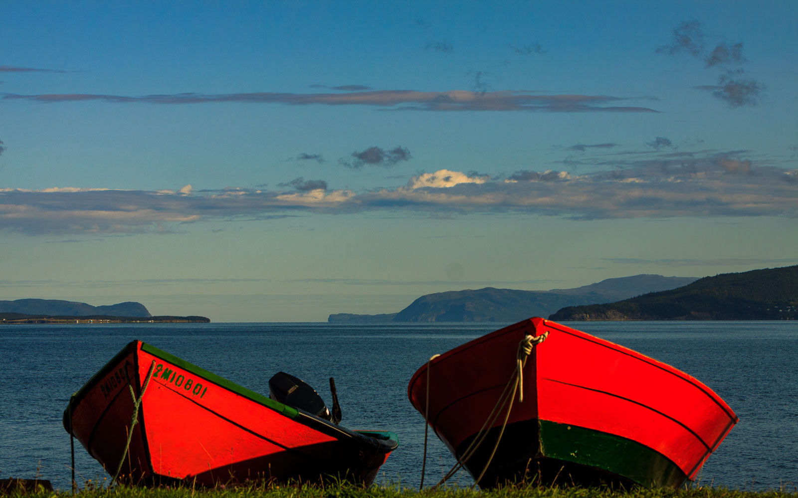 NFLD_04576__MG_3136.jpg