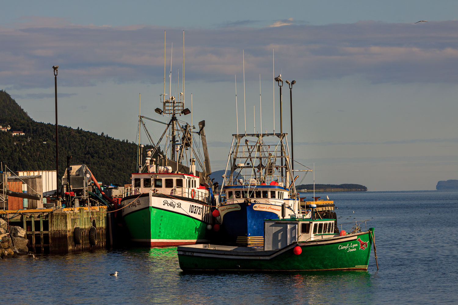 NFLD_04580__MG_3140.jpg