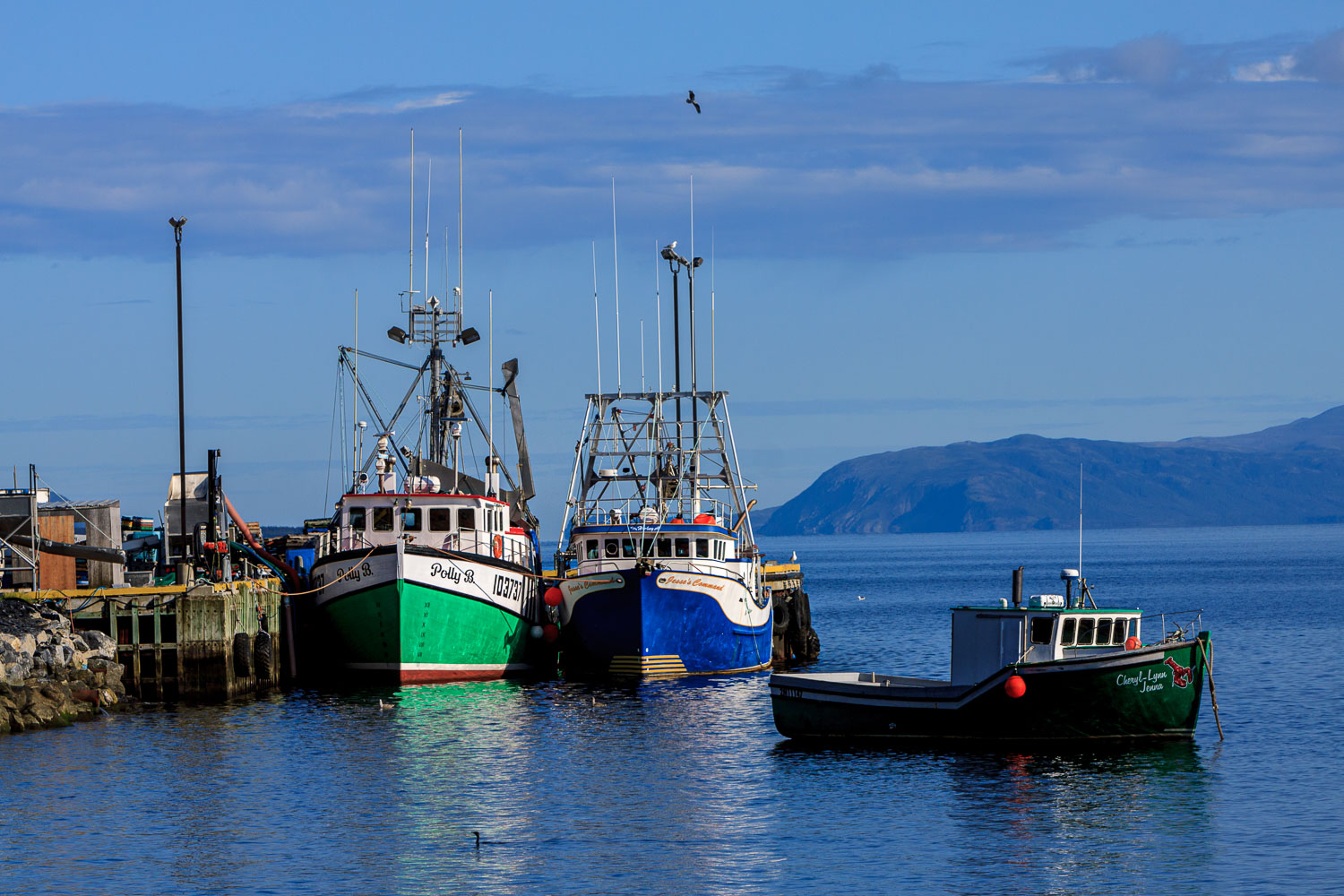 NFLD_04582__MG_3142.jpg