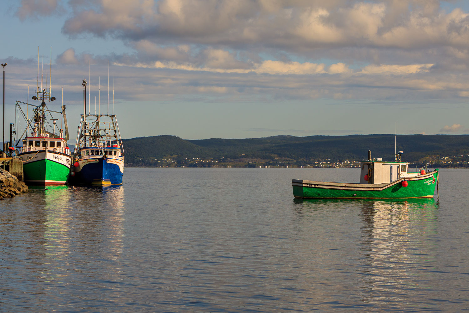 NFLD_04590__MG_3150.jpg