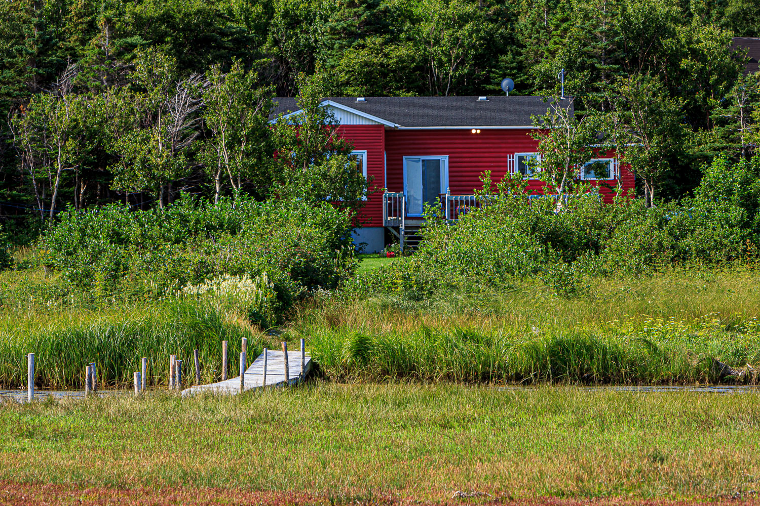 NFLD_04636__MG_3196.jpg