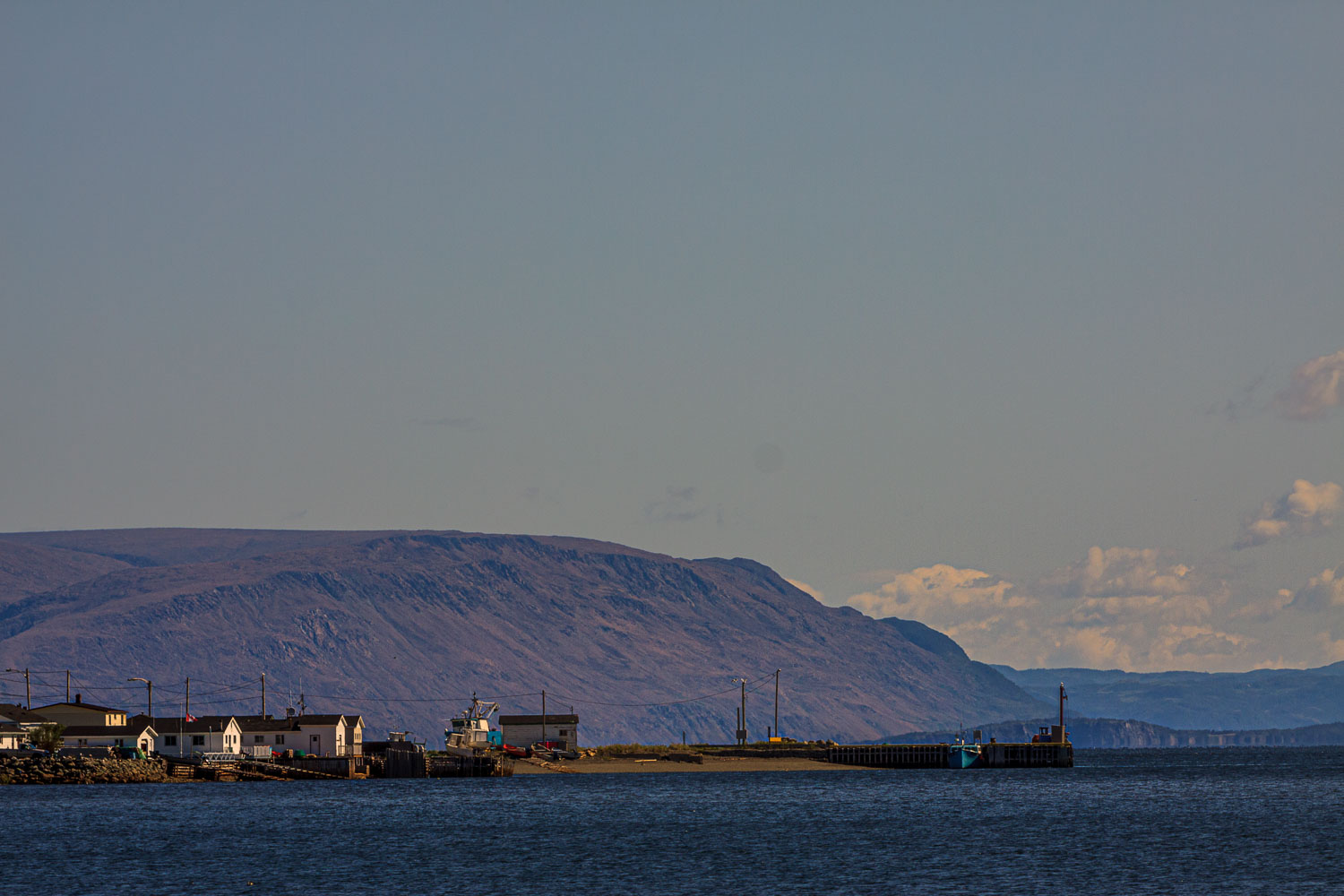 NFLD_04643__MG_3203.jpg