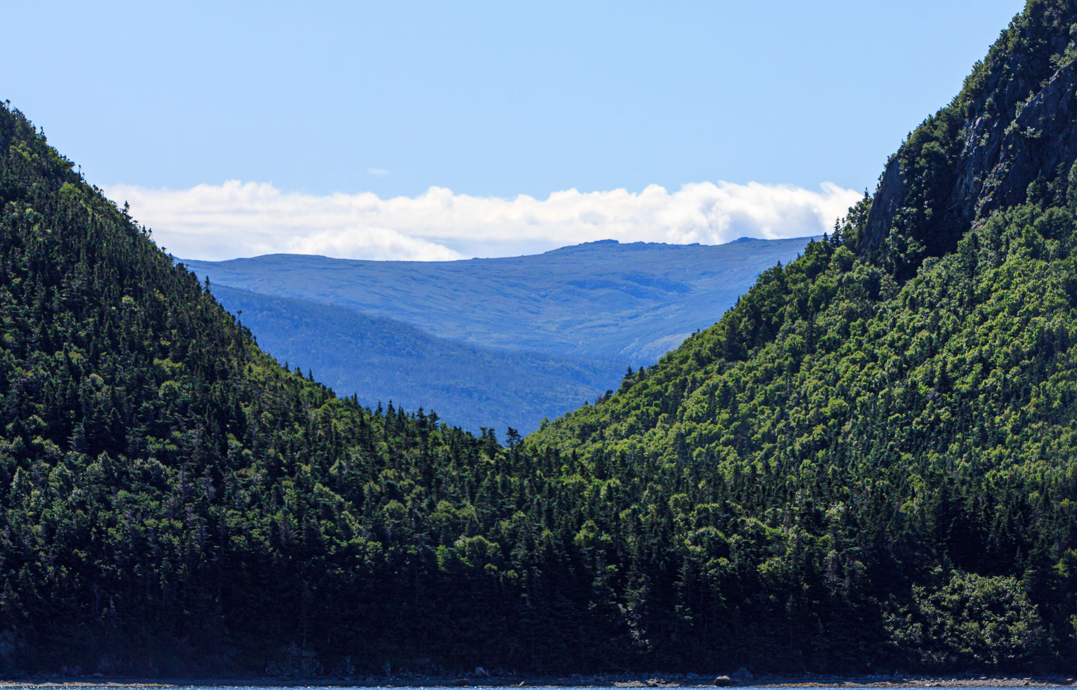 NFLD_04663__MG_3223.jpg