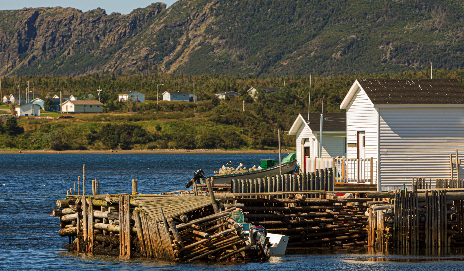 NFLD_04667__MG_3227.jpg