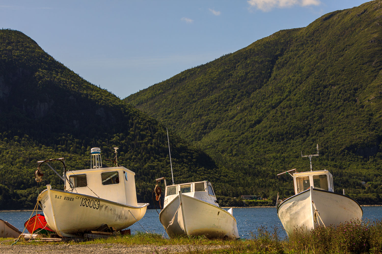 NFLD_04675__MG_3235.jpg