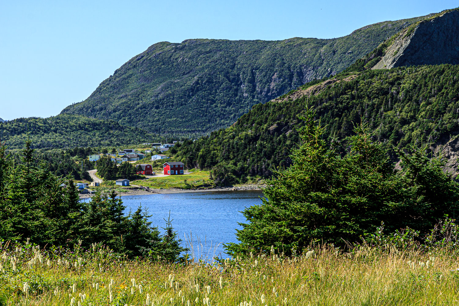 NFLD_04686__MG_3246.jpg