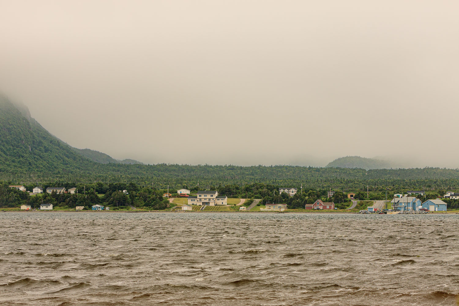 NFLD_0690__MG_9417.jpg