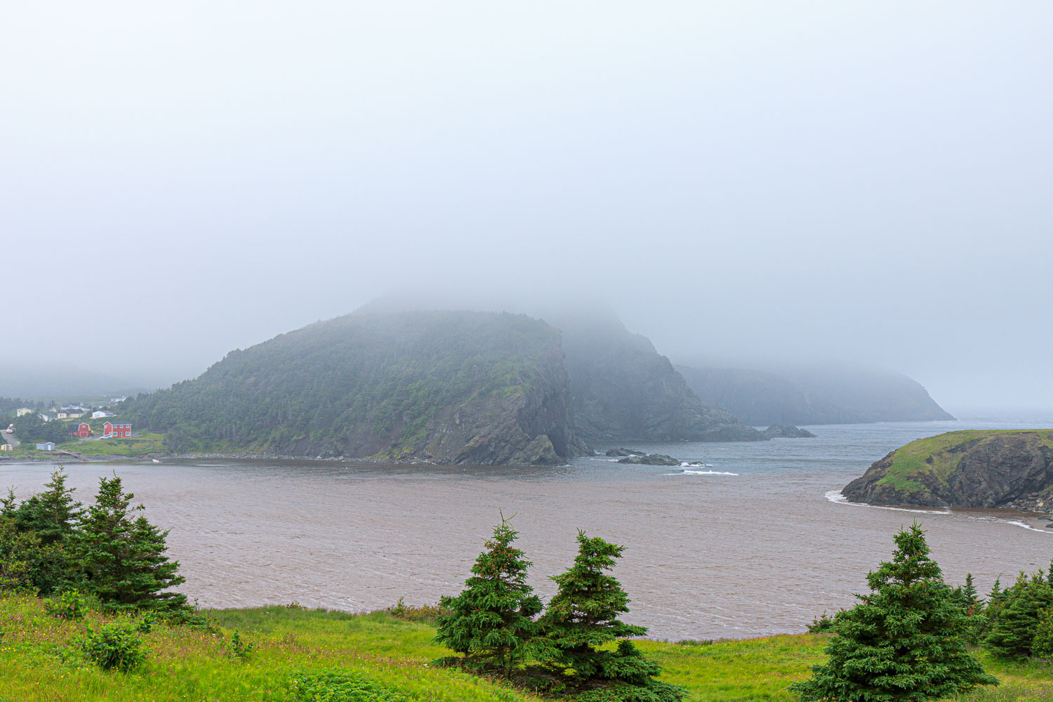 NFLD_0718__MG_9445.jpg