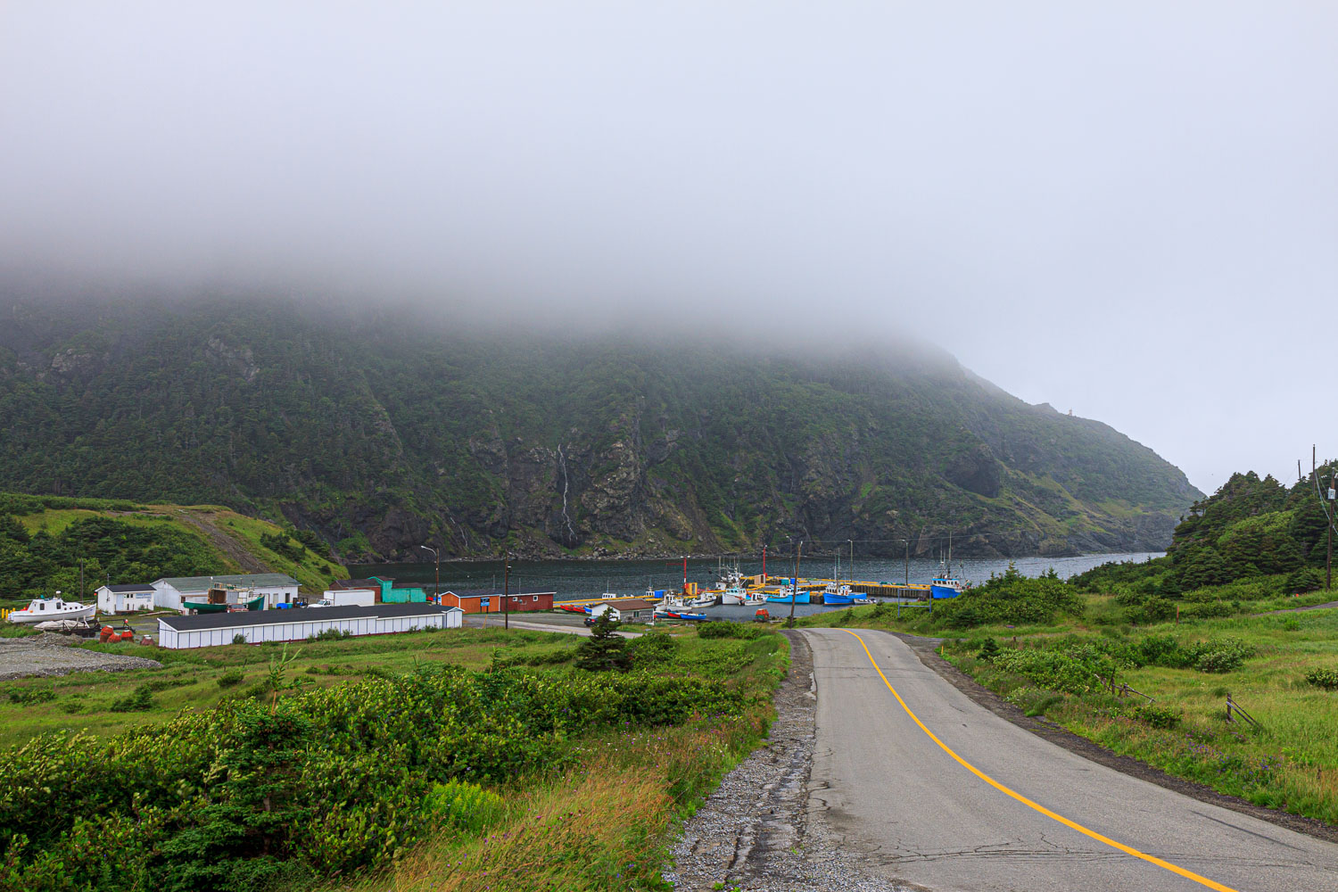 NFLD_0720__MG_9447.jpg