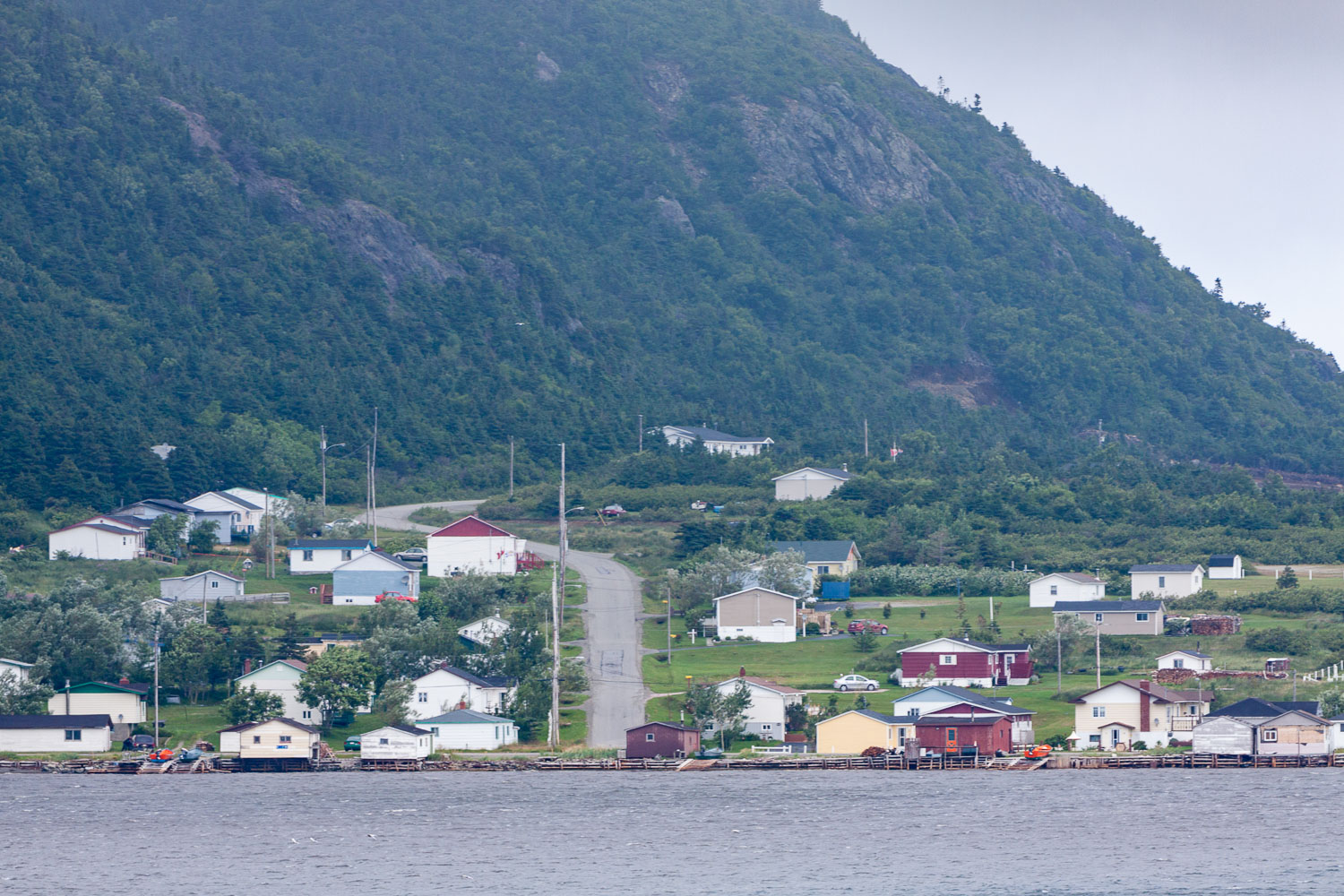 NFLD_0725__MG_9452.jpg