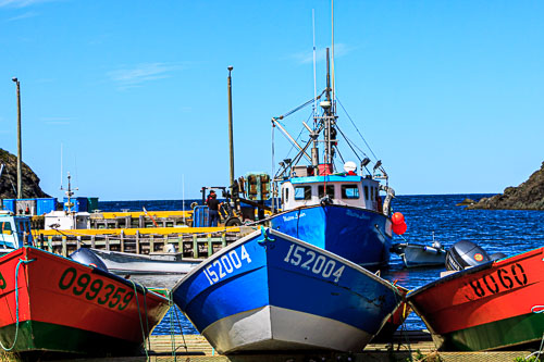 NFLD_04286__MG_3263.jpg