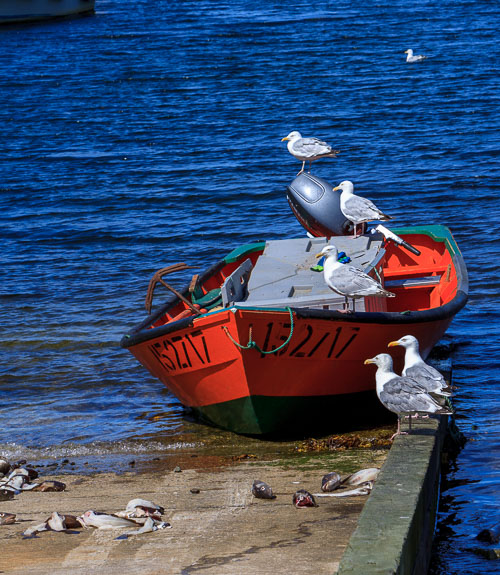 NFLD_04289__MG_3266.jpg