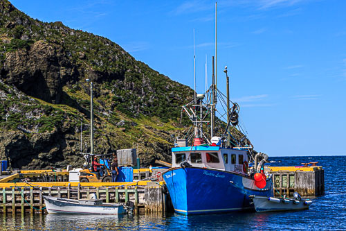 NFLD_04291__MG_3268.jpg