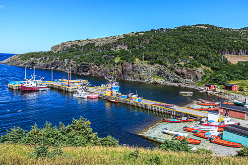 NFLD_04301__MG_3278.jpg