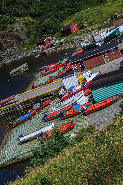 NFLD_04302__MG_3279.jpg